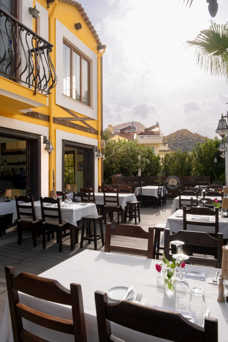 Olive Tree Restaurant