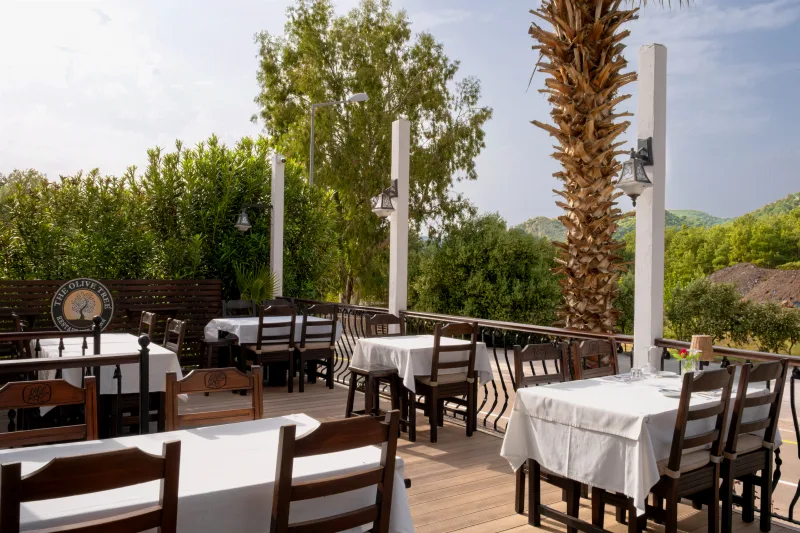 Olive Tree Restaurant