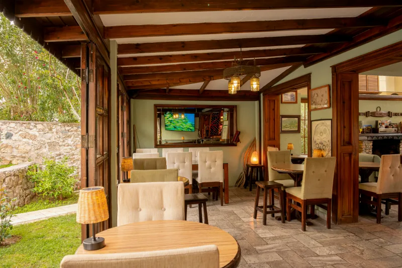 Olive Tree Restaurant